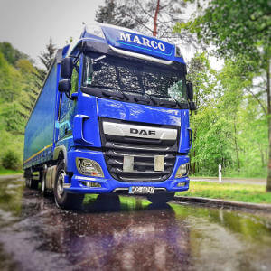 MARCO - galeria zdjęć