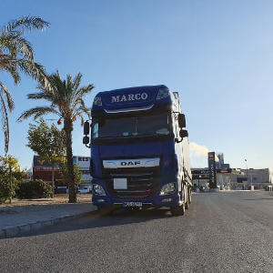 MARCO - galeria zdjęć