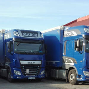 MARCO - galeria zdjęć