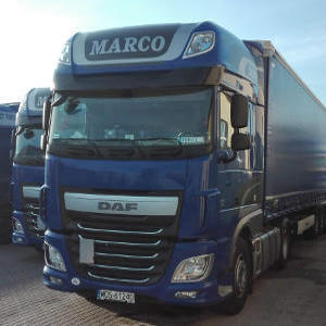 MARCO - galeria zdjęć