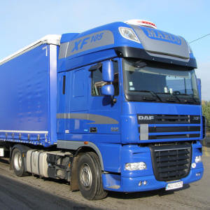 MARCO - galeria zdjęć