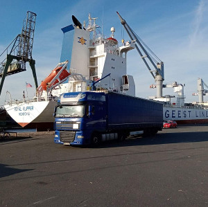 MARCO - galeria zdjęć