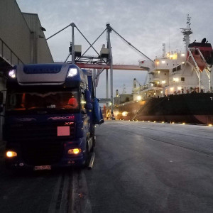 MARCO - galeria zdjęć