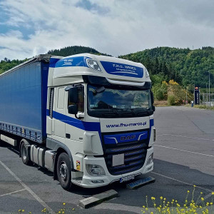 MARCO - galeria zdjęć